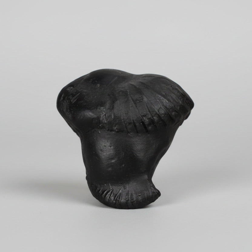 Shesha Garuda Golden Crystal Shaligram Shila