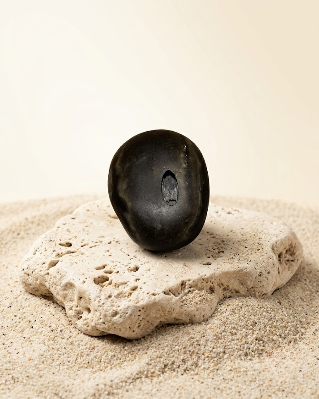 Laxmi Narayan Shaligram Shila 330g - Original Sacred Stone - ManiMonk