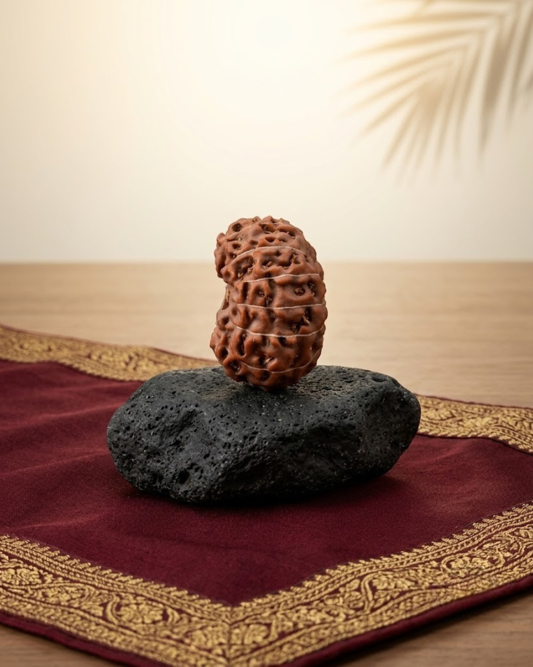 Premium Java Indonesian 13 Mukhi Rudraksha Bead - 21 mm Collector Grade - ManiMonk
