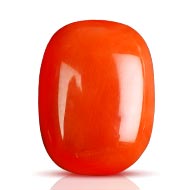 Red Japanese Coral - 11.50 Carats