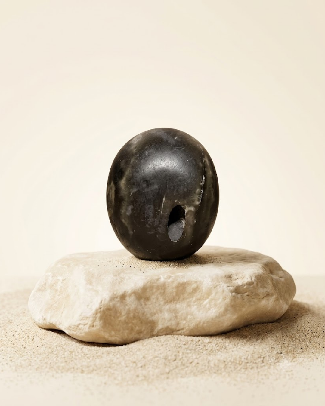 Laxmi Narayan Shaligram Shila 330g - Original Sacred Stone - ManiMonk