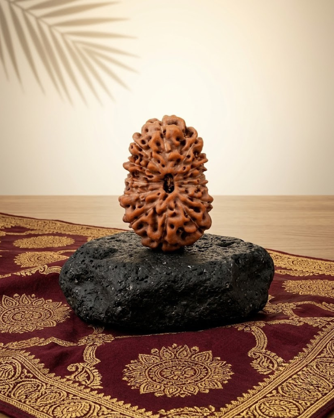 Premium Java Indonesian 13 Mukhi Rudraksha Bead - 23 mm Super Collector Grade - ManiMonk