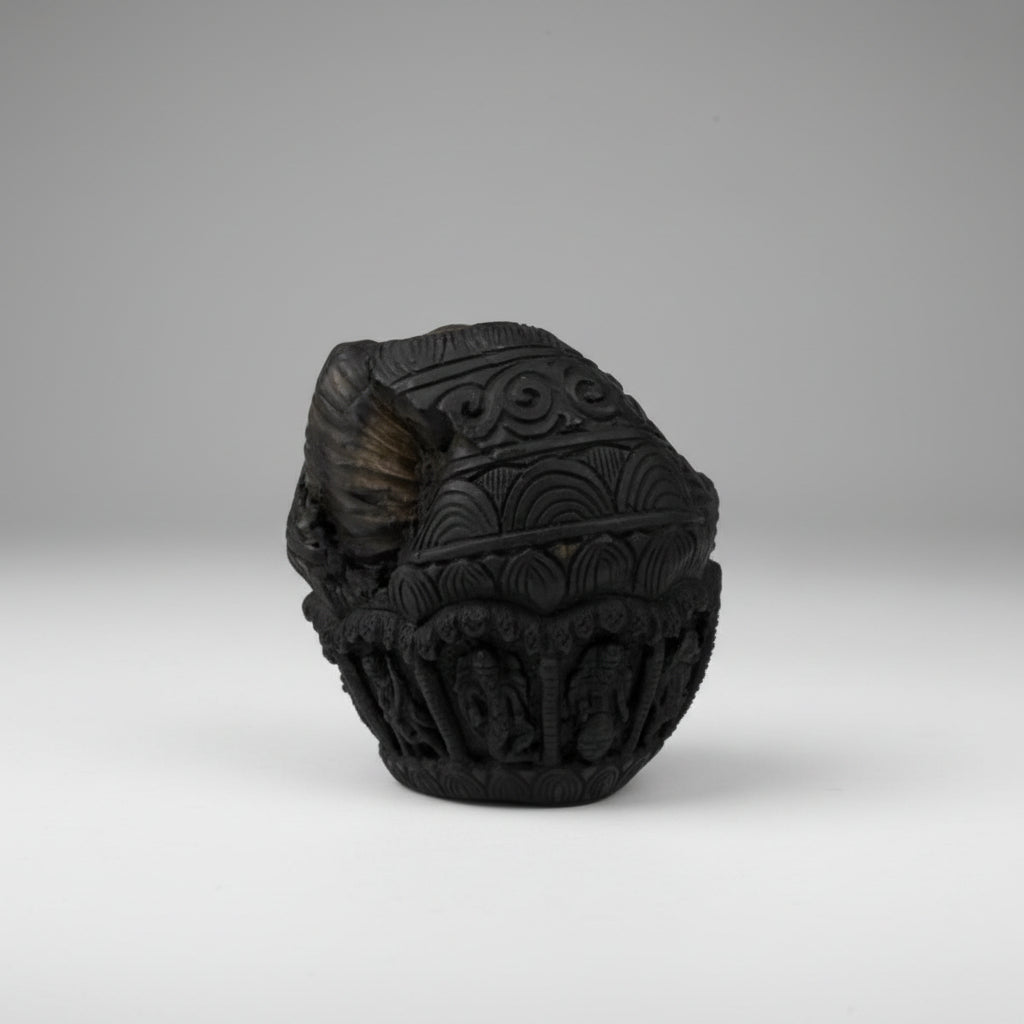 Dashavatar on Laxmi Narayan Shaligram Murti