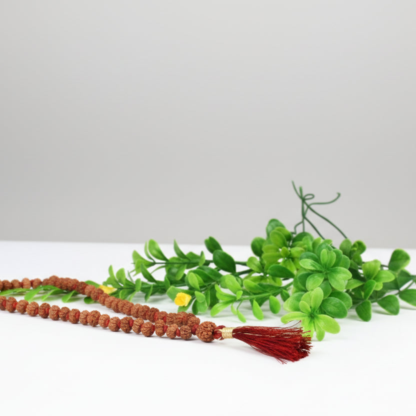12 Mukhi Surya Radiance Mala (8 mm)