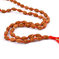 2 Mukhi Moon Mala (12 mm)