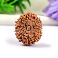 Twelve Mukhi from Java Indonesia Small