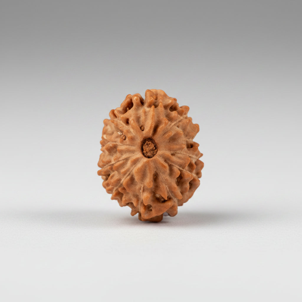 Eleven Mukhi from Java Indonesia