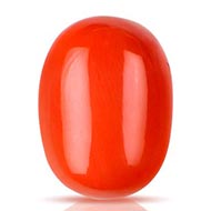 Red Japanese Coral - 11.72 Carats