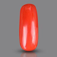 Red Italian Coral - 19.40 Carats