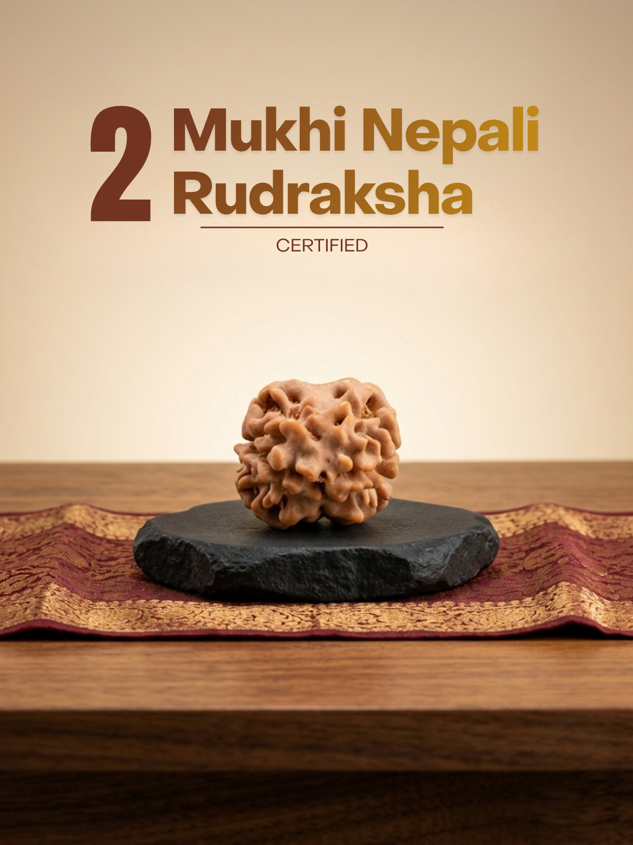 2 Mukhi Nepal Rudraksha