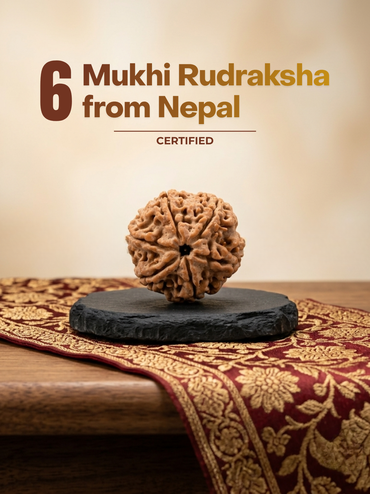 6 Mukhi Nepal Rudraksha