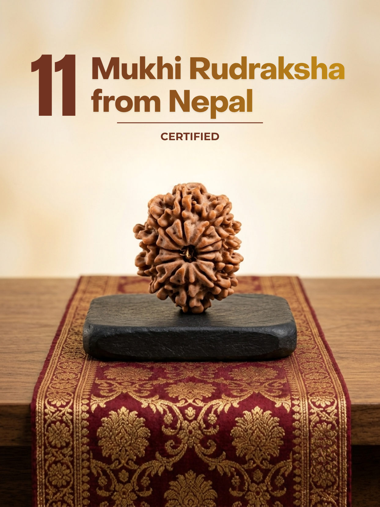 11 Mukhi Rudraksha from Nepal - 24 to 26 mm - Natural Certified Bead for Hanuman and Courage