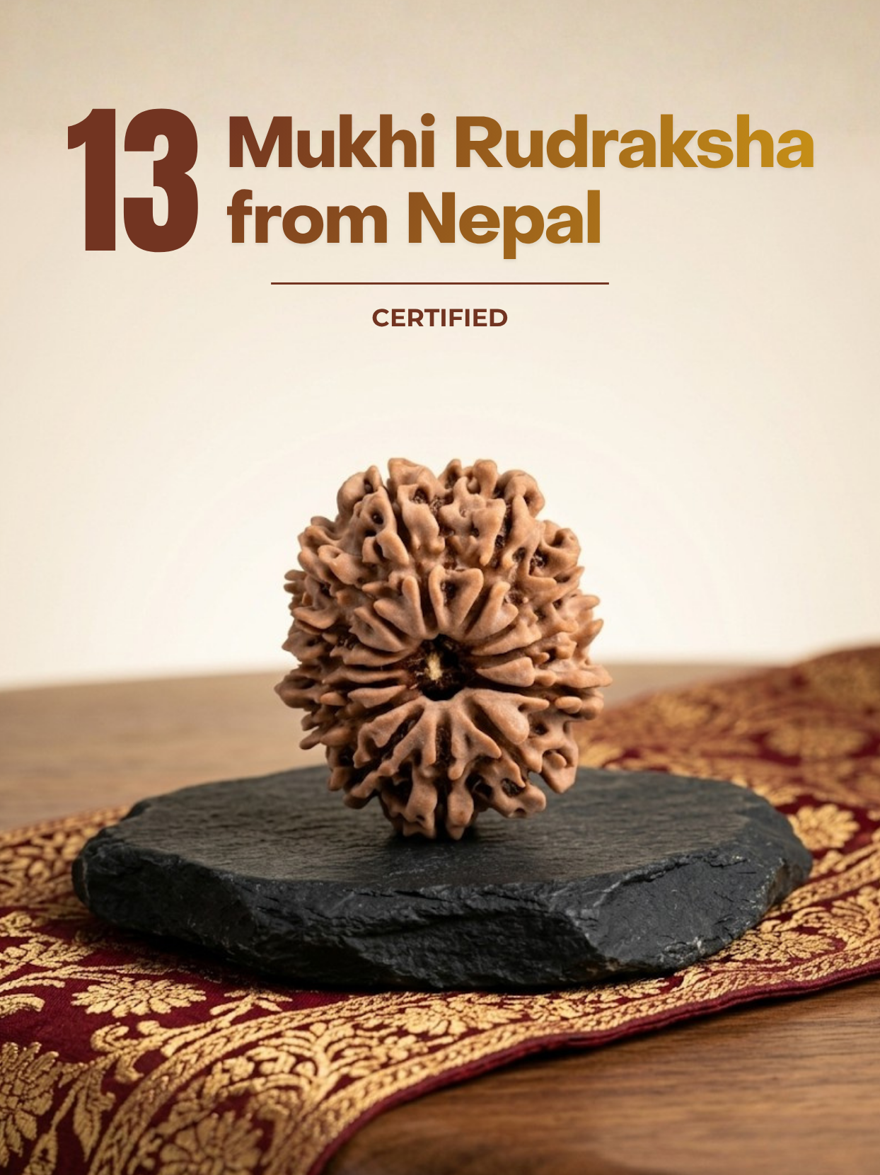 13 Mukhi Rudraksha from Nepal - 22 to 25 mm - Natural Certified Bead for Kamadeva and Desires