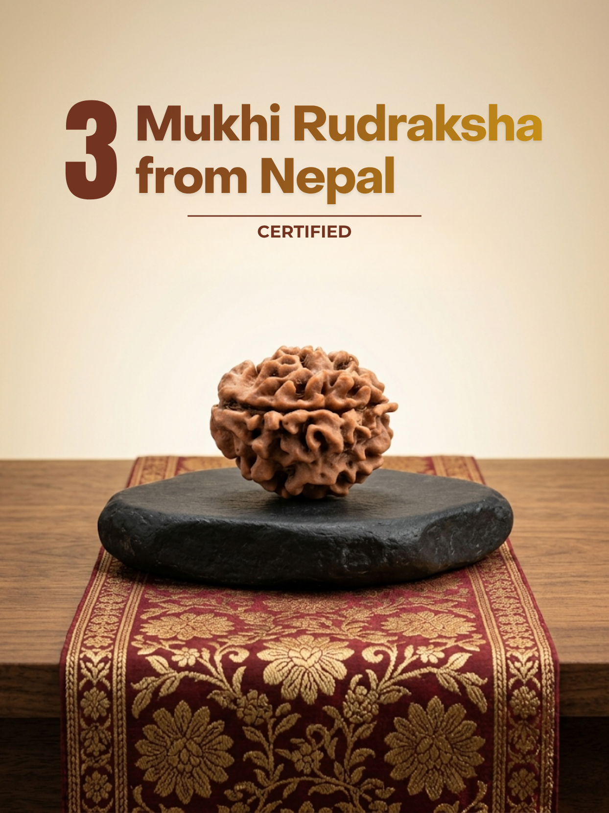 3 Mukhi Nepal Rudraksha