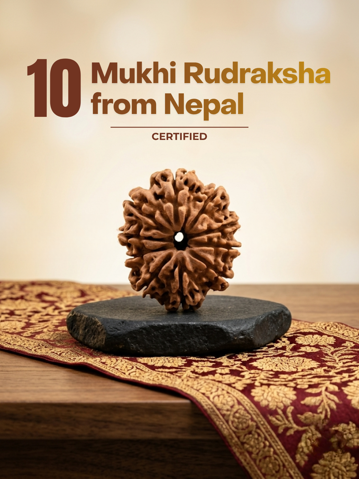 10 Mukhi Rudraksha from Nepal - 25 mm - Natural Certified Bead for Vishnu and Peace