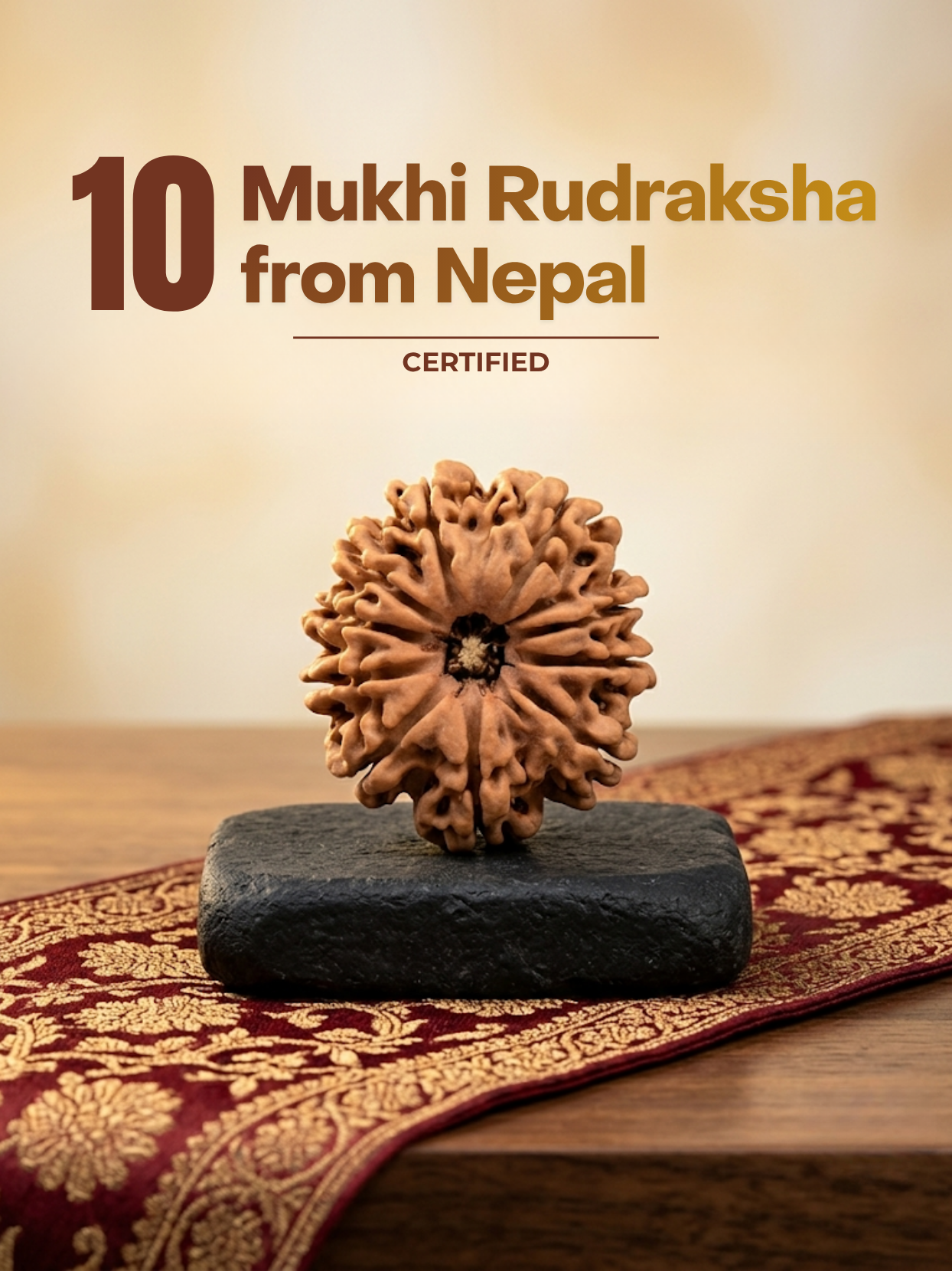 10 Mukhi Rudraksha from Nepal - Small 22 mm - Natural Certified Bead for Vishnu and Peace