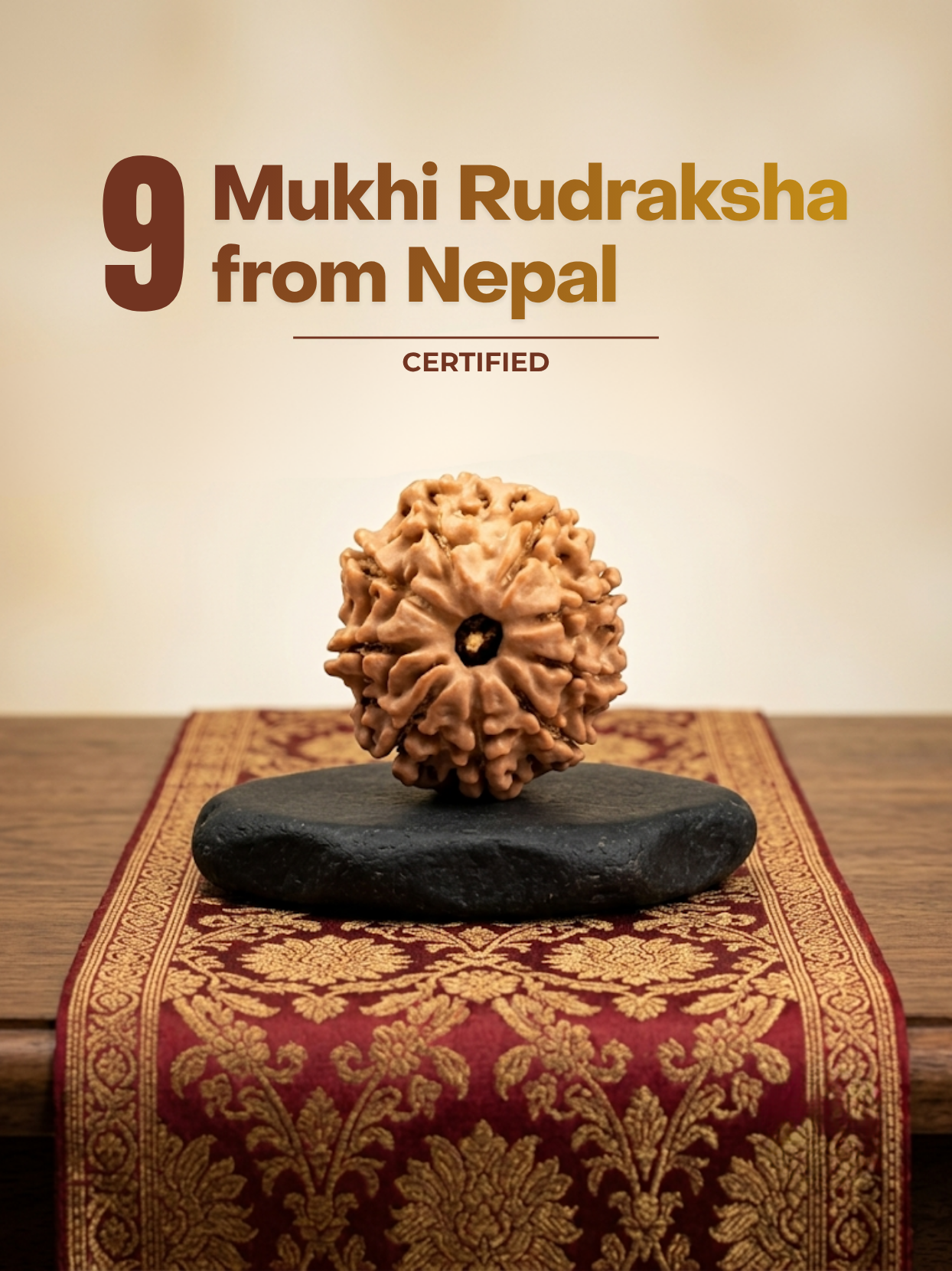 9 Mukhi Rudraksha from Nepal - 20 to 22 mm - Natural Certified Bead for Durga and Power