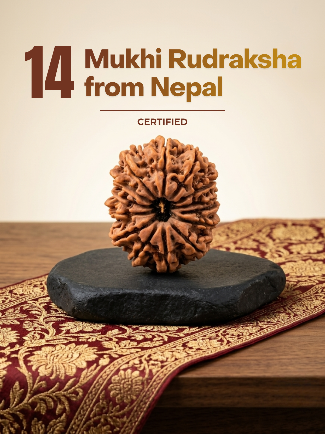 14 Mukhi Nepali Rudraksha