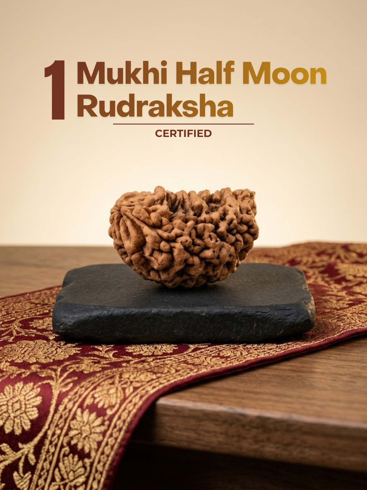 1 Mukhi Half Moon Bead