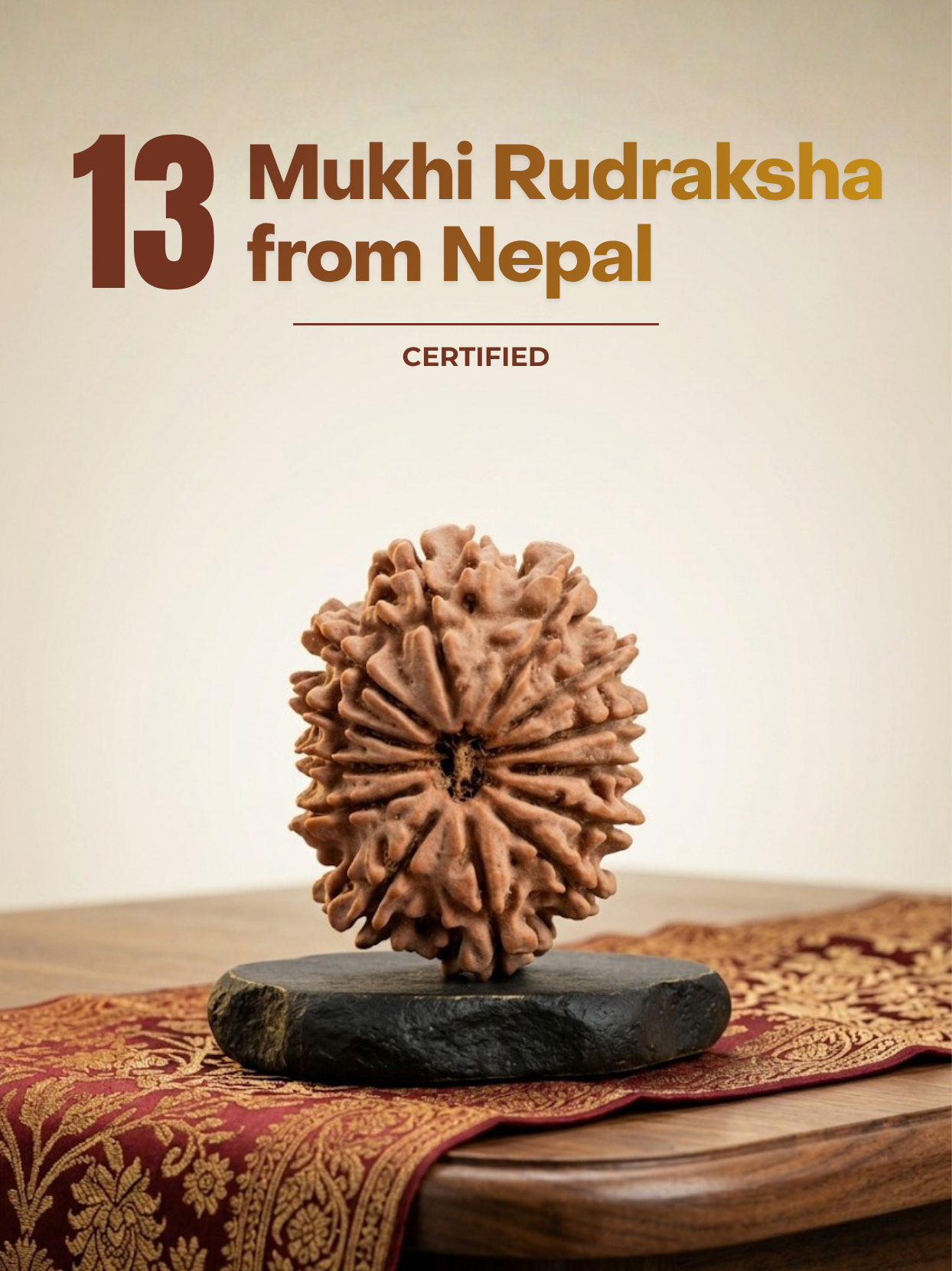 13 Mukhi Nepal Rudraksha