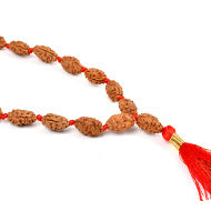 2 Mukhi Moon Mala (14 mm)-54+1 Beads