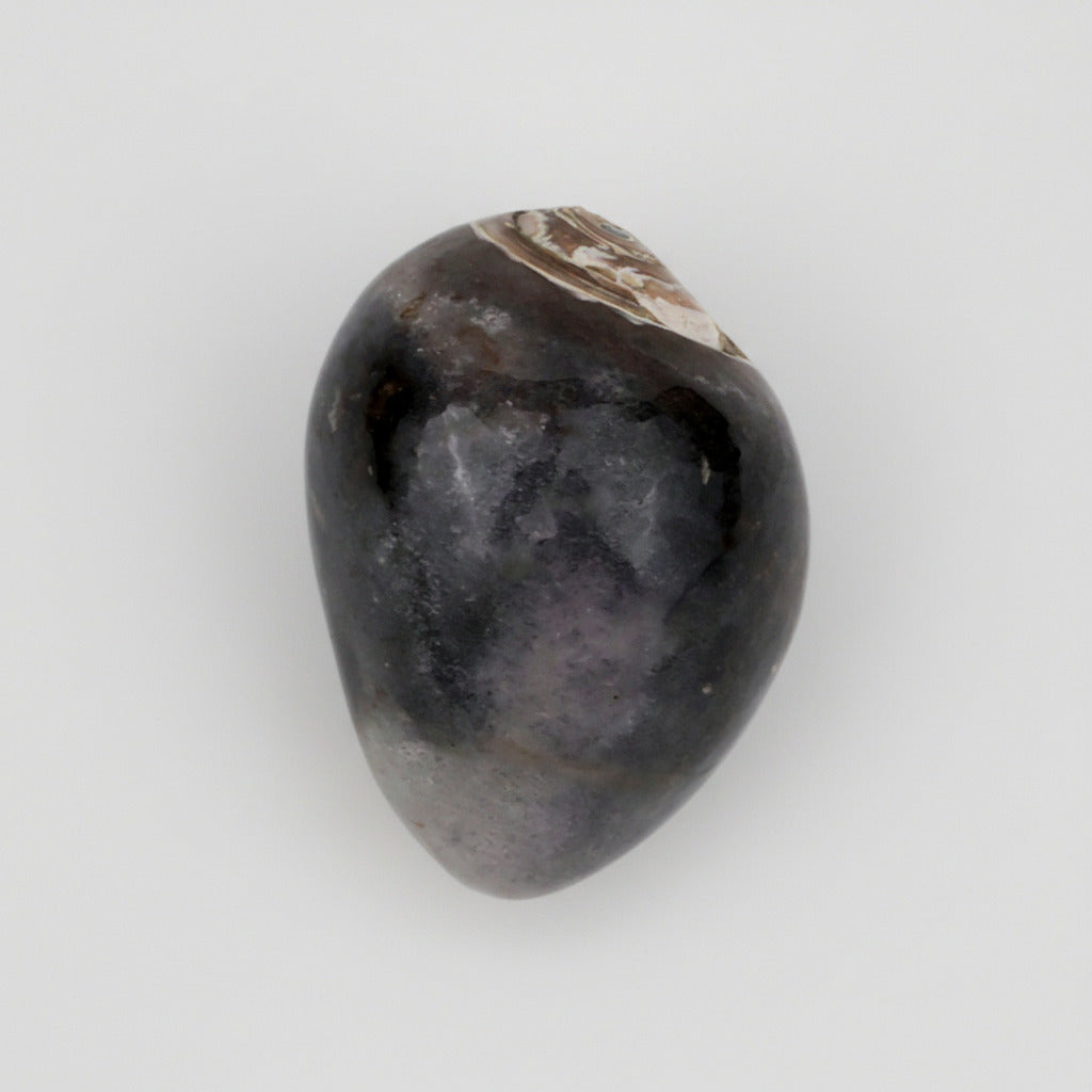 Heera Shankh - 105 gms