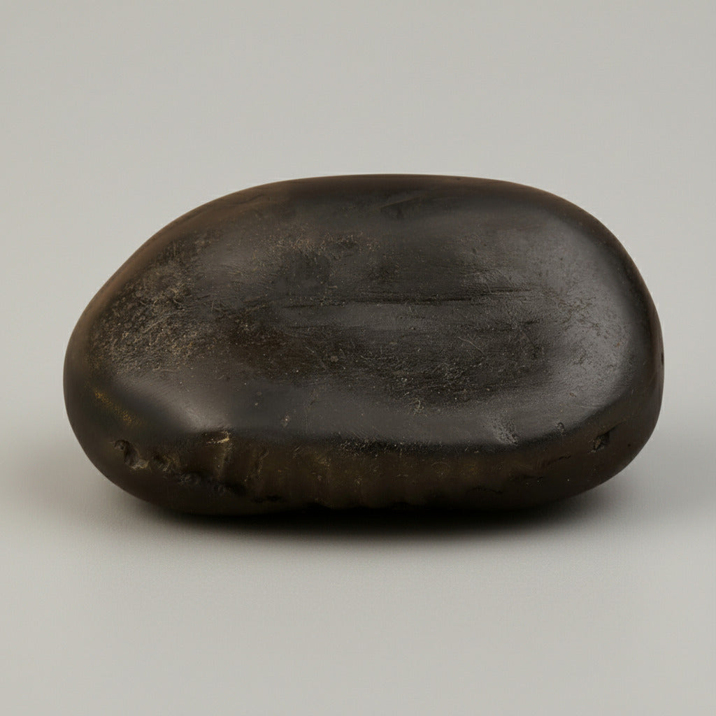 Kalki Mahavatar Shaligram Shila