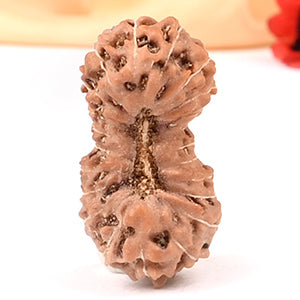 22 Mukhi from Java