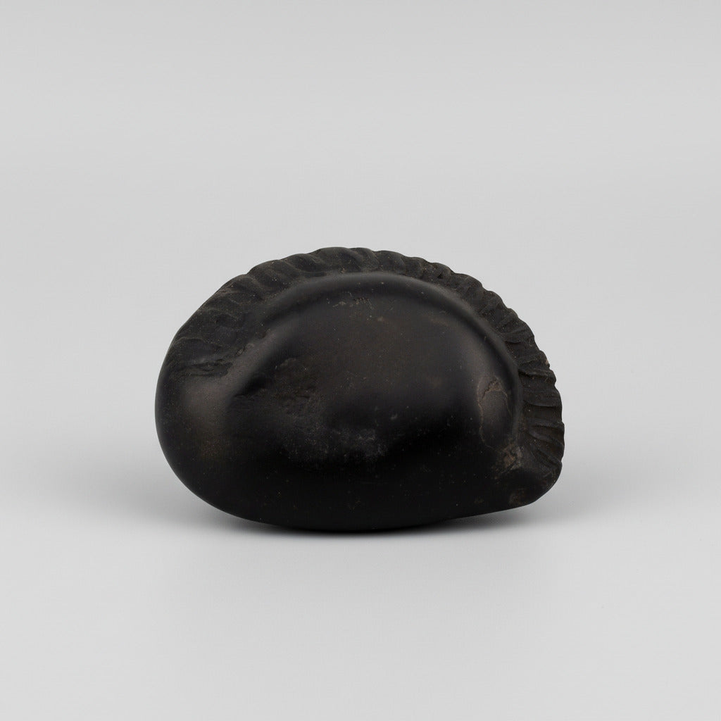 Buddha Avatar Shaligram Shila