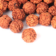 Rudraksha Loose Beads Pack (10 mm)-Regular