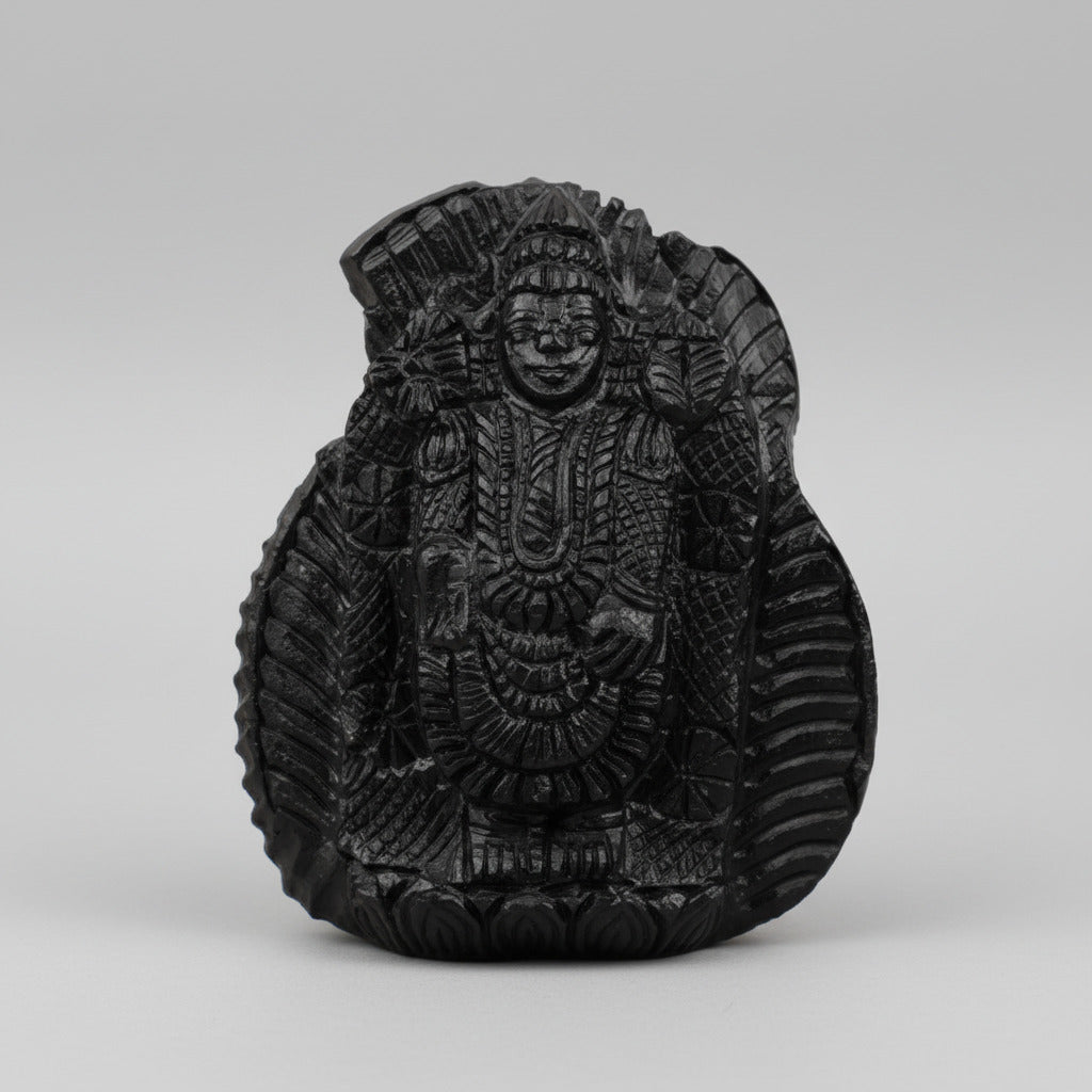 Tirupati Balaji Venkateshwara Shaligram Murti