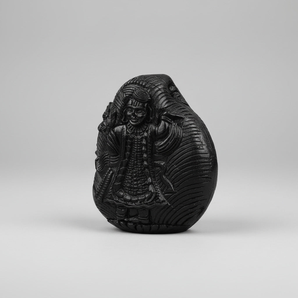 Shreenath Shaligram Murti