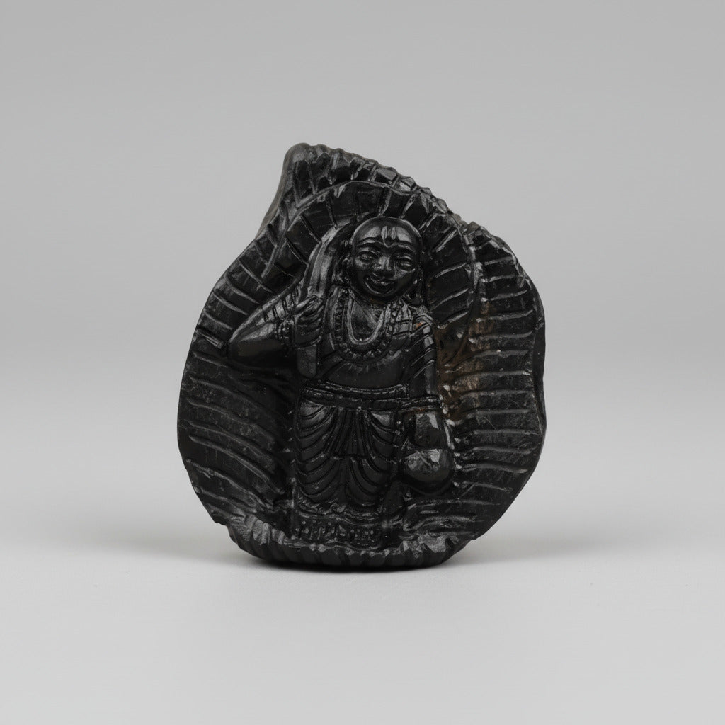 Vamana Shaligram Idol