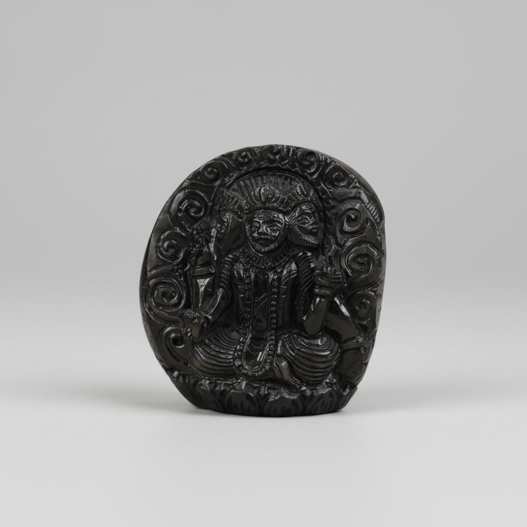Brahma Shaligram Murti
