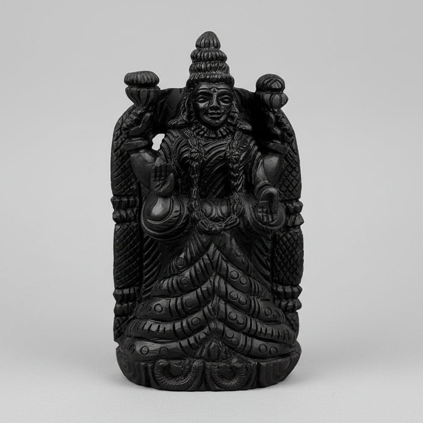 Padmavati Shaligram Idol