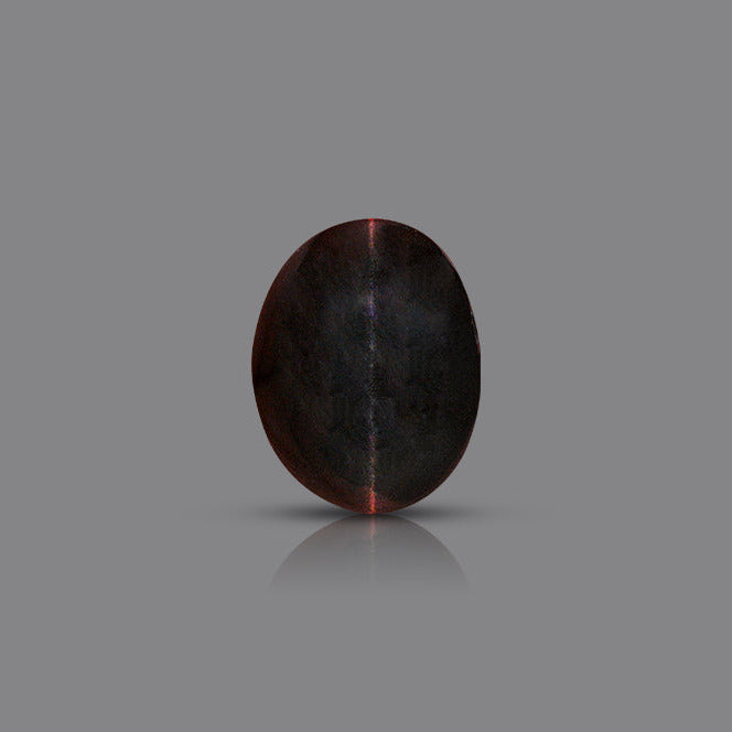 Black Cats Eye - 4.85 Carats