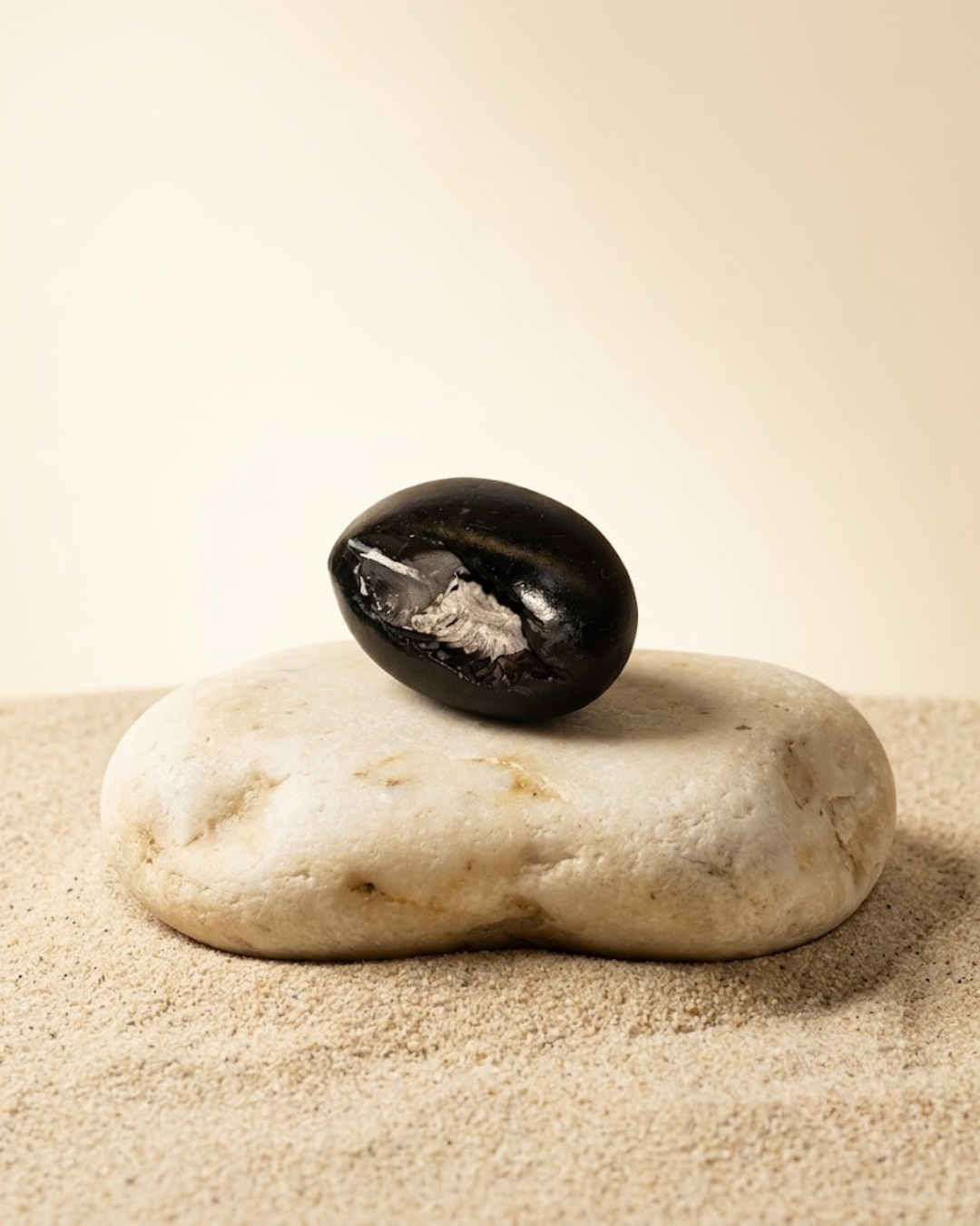 Laxmi Sudarshan Shaligram Shila - Original Sacred Stone - ManiMonk