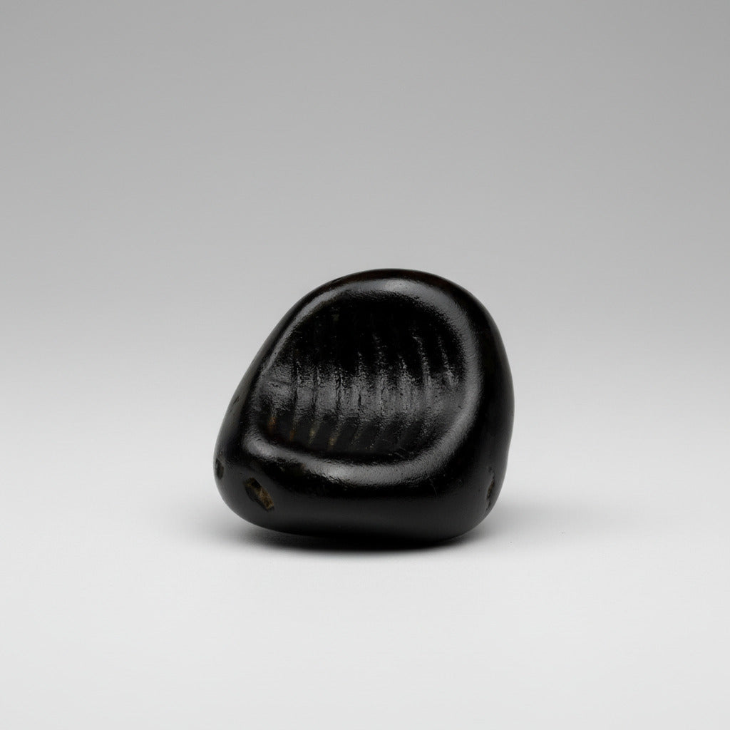 Gopada Shaligram Shila
