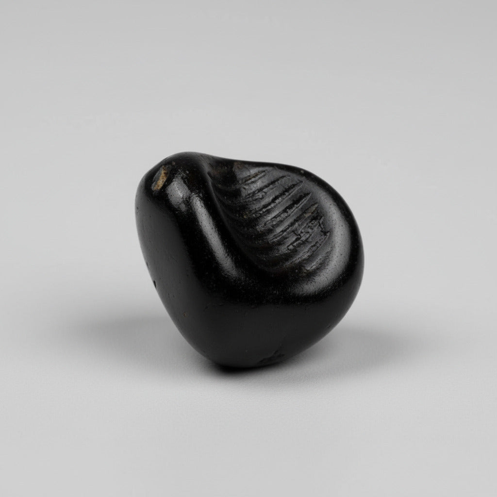 Gopada Shaligram Shila