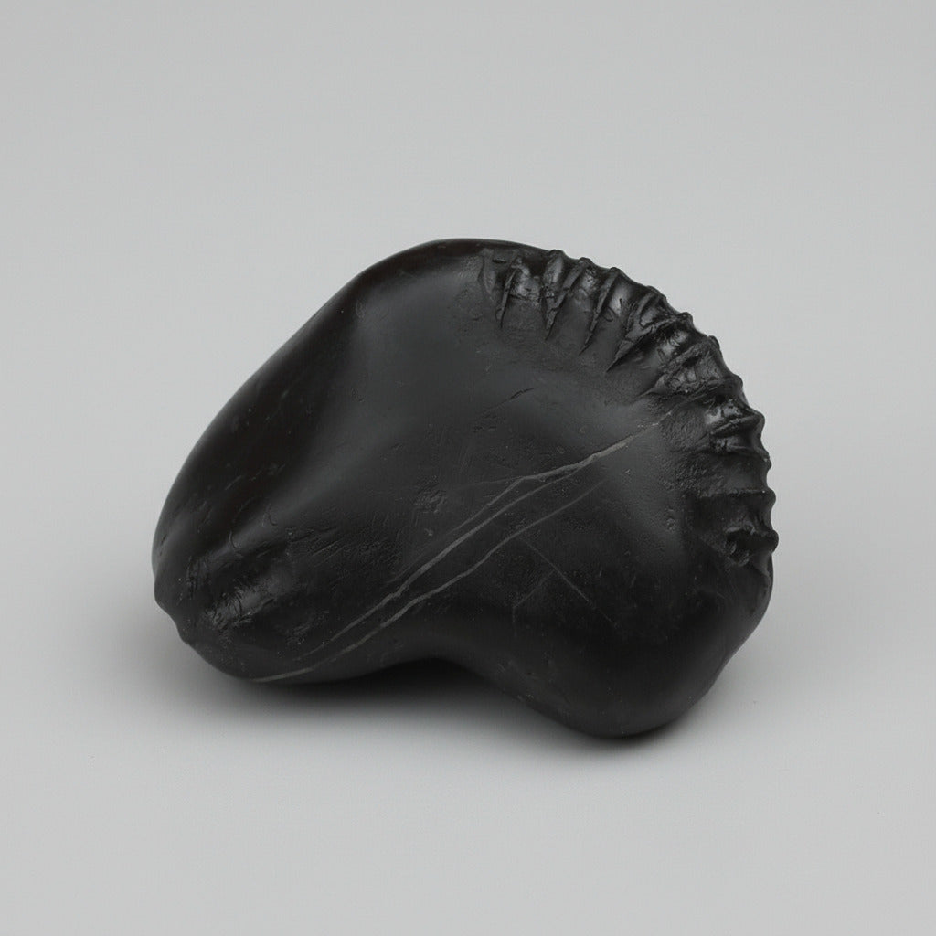 Janeudhari Purushoham Swarna Varaha Shaligram Shila