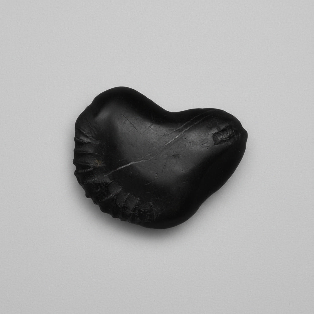 Janeudhari Purushoham Swarna Varaha Shaligram Shila