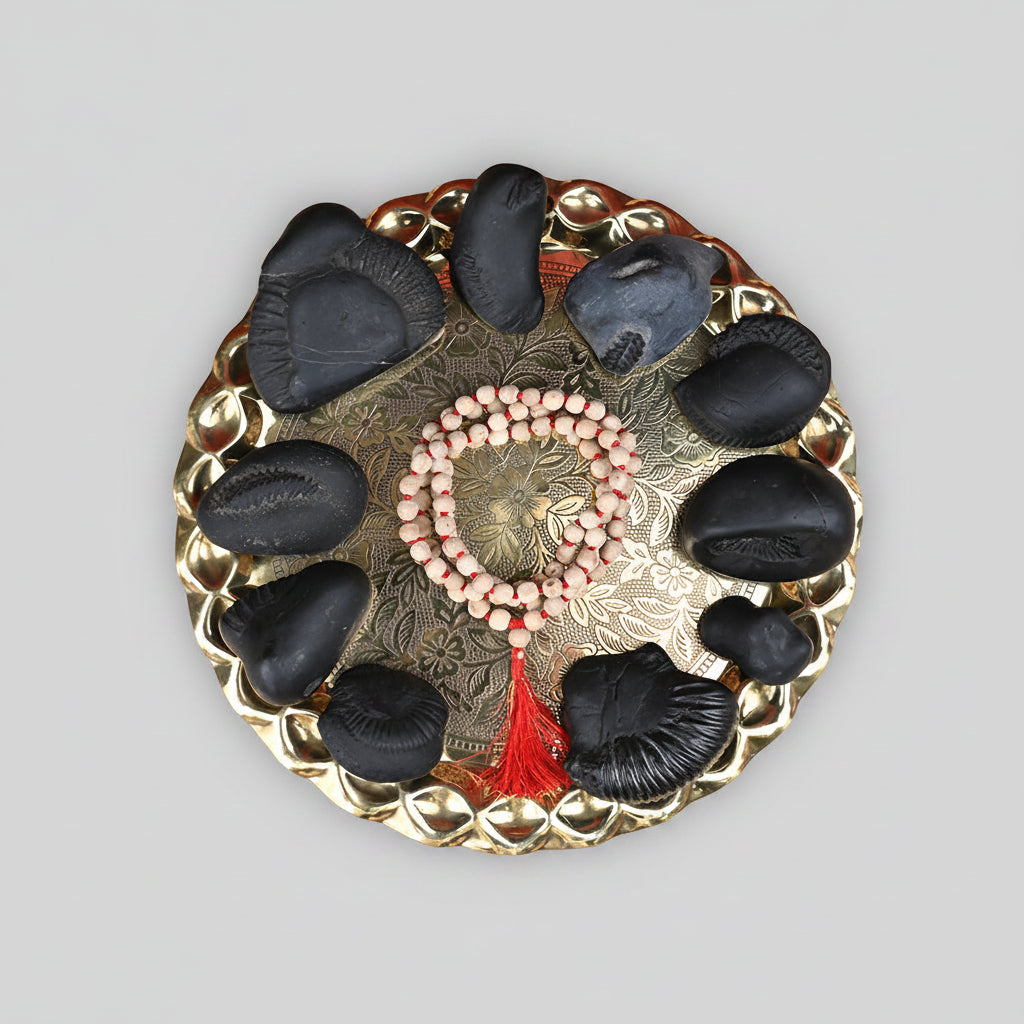 Dashavatar Shaligram Shila Set of 10