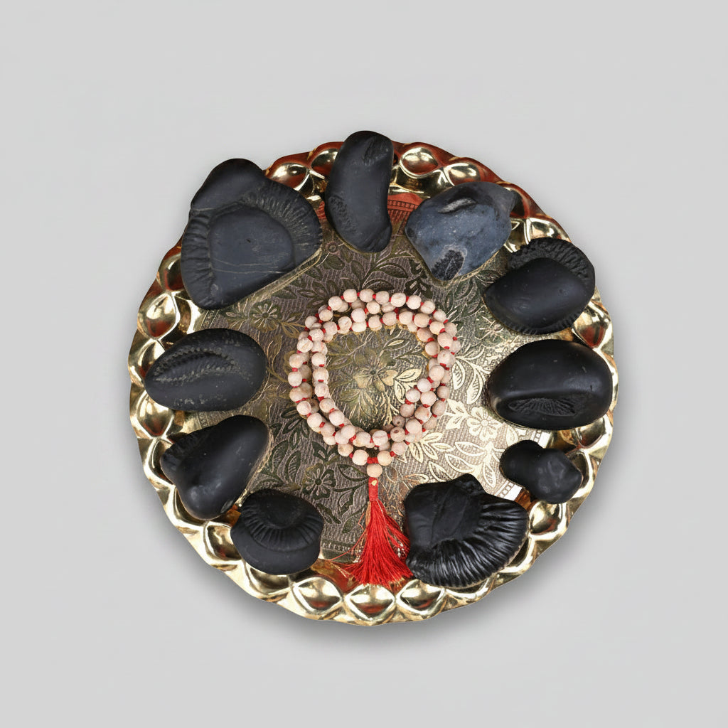 Dashavatar Shaligram Shila Set of 10