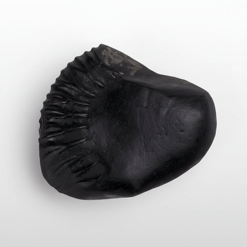 Swarna Parshuram Shaligram Shila