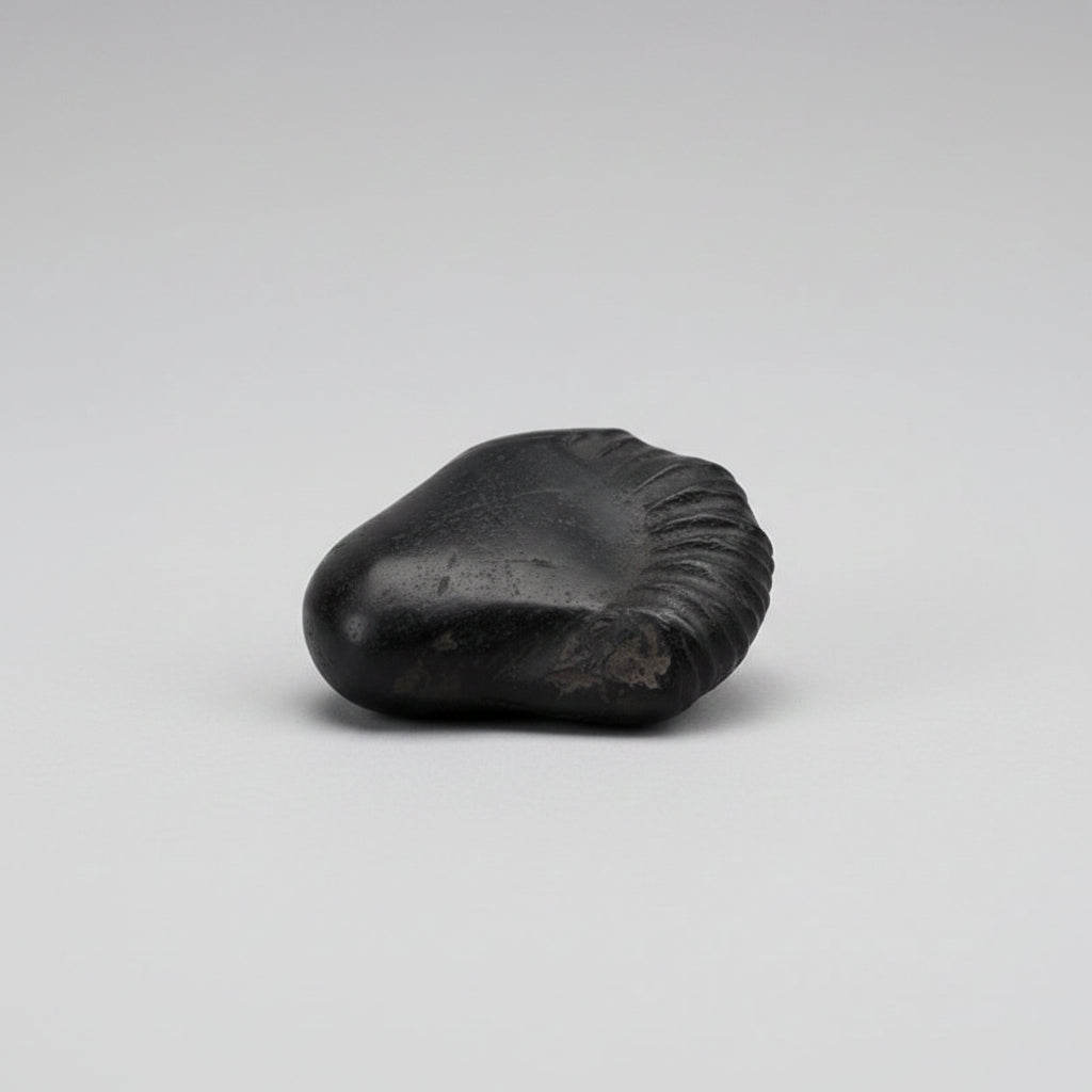 Swarna Parshuram Shaligram Shila