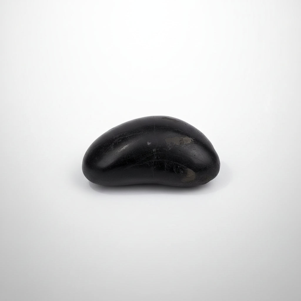 Swarna Mastya Murti Shaligram Shila
