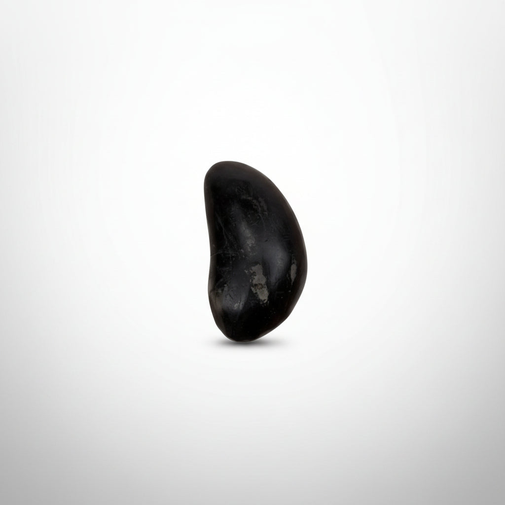 Swarna Mastya Murti Shaligram Shila