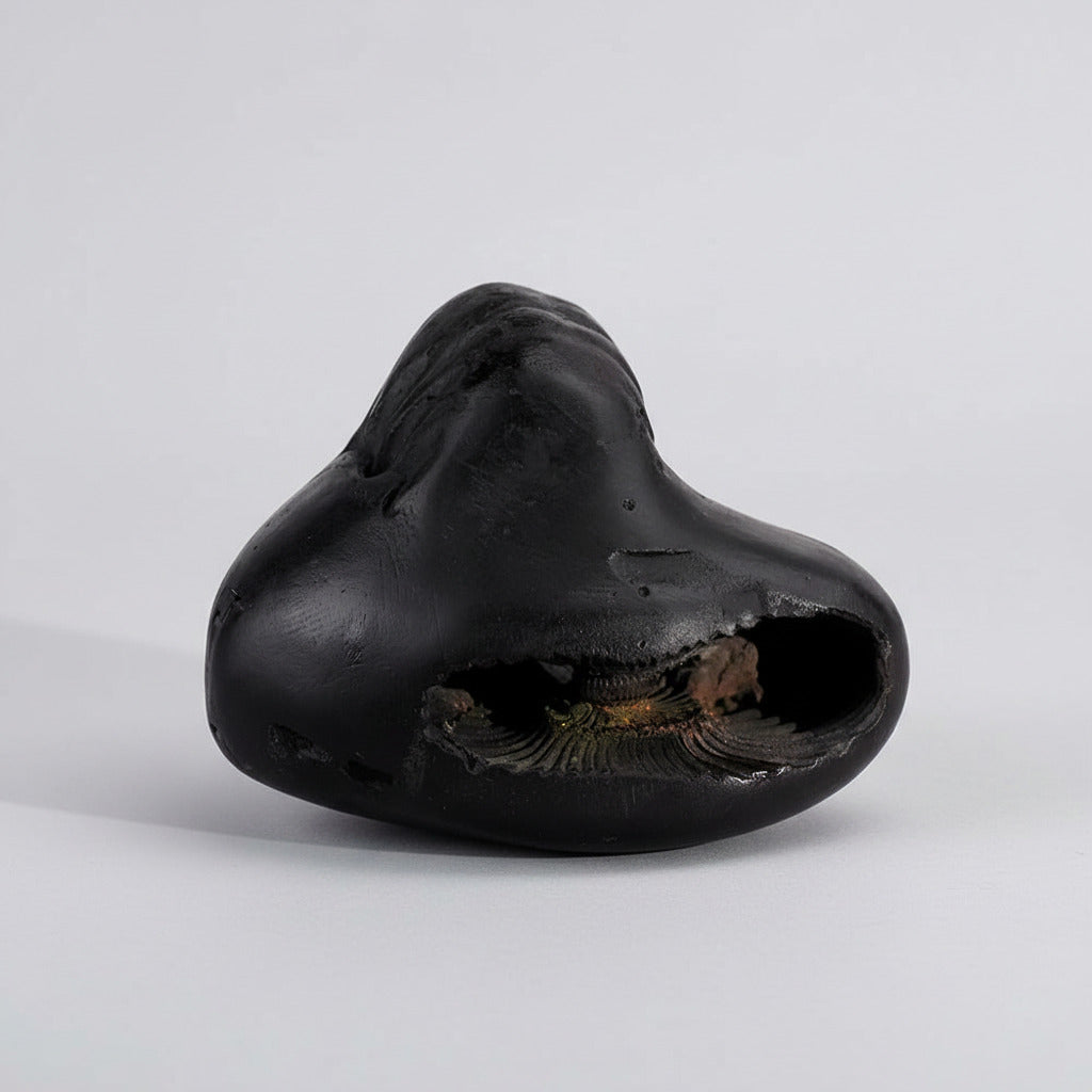 Chaturbhuj Chakradhari Maha Vishnu Shaligram Shila