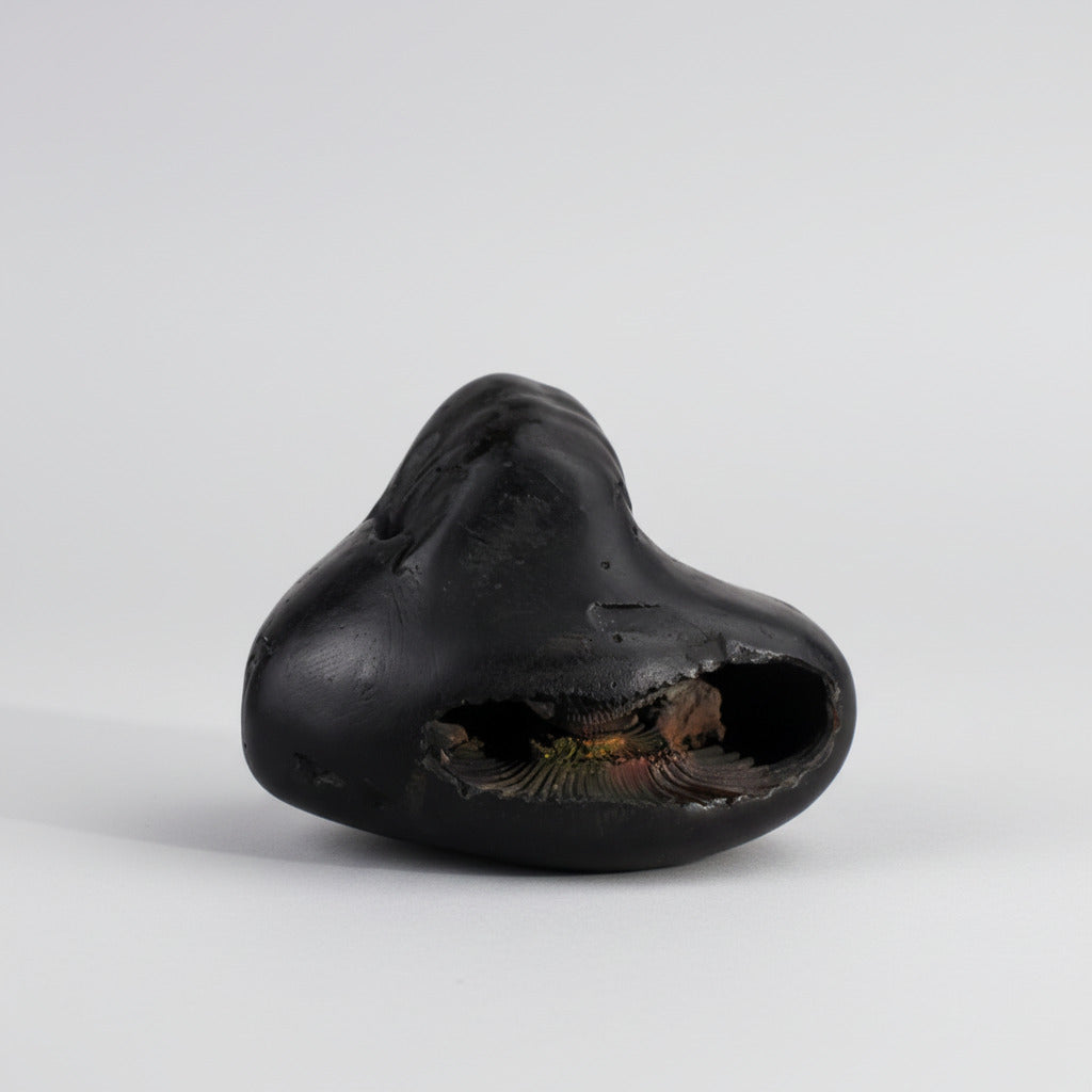 Chaturbhuj Chakradhari Maha Vishnu Shaligram Shila