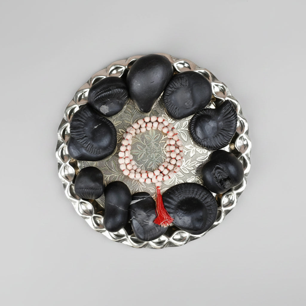 Dashavatar Shaligram Shila Set - 3.4 Kgs